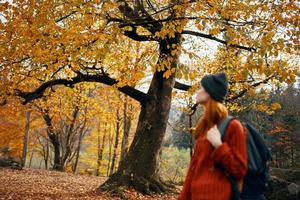 femme dans une chandail des promenades dans le parc dans l'automne la nature paysage Frais air modèle sac à dos photo