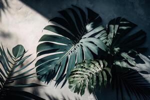 doux ombres de tropical paume feuilles. illustration ai génératif photo