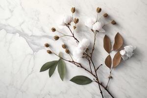 coton fleur branche sur blanc marbre Contexte. illustration ai génératif photo