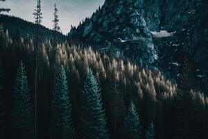 tylé verticale panorama de forêt dans le français Alpes. illustration ai génératif photo