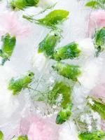 œillet, jardin fleurs congelé dans glace. backgraund photo