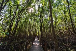 en bois pont passerelle à kung krabaen baie mangrove forêt à chanthaburi ville Thaïlande. photo