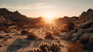 le coucher du soleil dans Joshua arbre nationale parc, Californie, uni États photo