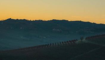 paysages de le piémontais langhe à Aube sur une du froid hiver journée dans 2023 photo