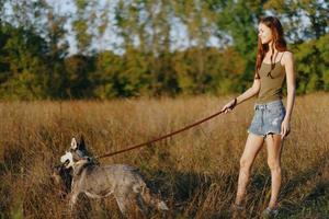 femme et sa rauque chien Heureusement en marchant et fonctionnement dans le herbe dans le champ sourire avec les dents l'automne le coucher du soleil marcher avec une animal de compagnie, en voyageant avec une ami chien bonheur photo