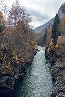 rivière entre montagnes l'automne forêt Voyage Frais air photo