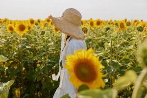 femme dans blanc robe avec chapeau dans été dans une champ de tournesols la nature mode de vie photo