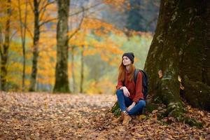 portrait de une femme dans une chandail et jeans et une chapeau en dessous de une arbre dans le l'automne forêt photo