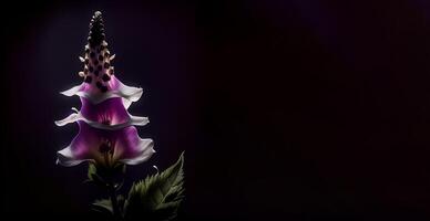 foncé digitale pourprée fleur dans noir Contexte ai généré photo