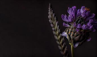 foncé célosie fleur dans noir Contexte ai généré photo