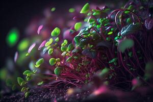 microgreens plante en dessous de phyto LED lumièremacro génératif ai photo