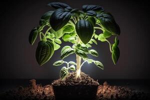 Accueil croissance légumes verts plante en dessous de lumières génératif ai photo