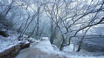 le magnifique congelé montagnes vue couvert par le blanc neige et la glace dans hiver photo