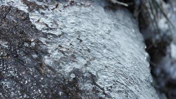 le congelé hiver vue avec le herbe et rochers couvert par le la glace et blanc neige photo