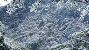 le magnifique congelé montagnes vue couvert par le blanc neige et la glace dans hiver photo