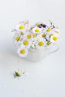 Bouquet de marguerites communes dans une tasse de thé blanc sur fond blanc photo