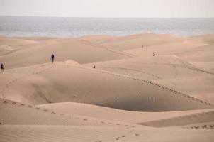 fond de dunes de sable photo