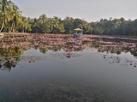 Naturel beauté dans bangladeshi place photo