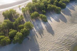 aérien vue de Naturel motifs dans le le sable à faible marée près mangrove arbre forêt.générative ai photo