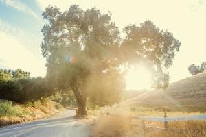 journée d'été dans le centre de la californie photo