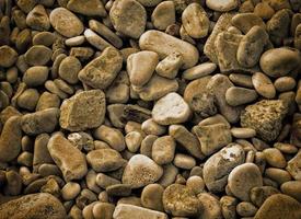 patch de roches ou de pierres pour le fond ou la texture