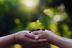 mère et enfant en portant Jeune plante avec lumière du soleil sur vert la nature Contexte. concept éco Terre journée photo