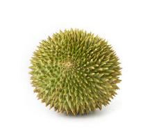 Frais vert durian isoler sur blanc Contexte photo