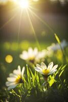 soir fleurs et vert herbe établi par génératif ai La technologie photo