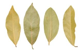 sec feuilles de baie feuille sur une blanc arrière-plan, aromatique pimenter photo