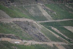 Rhin vallée vignobles photo