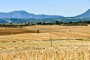 scénique rural paysage photo