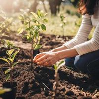 plantation des arbres pour une durable avenir. communauté jardin et environnement préservation - promouvoir habitat restauration et communauté engagement sur Terre journée photo