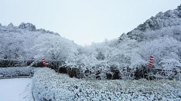 le magnifique congelé montagnes vue couvert par le blanc neige et la glace dans hiver photo