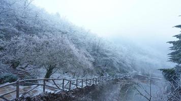 le magnifique congelé montagnes vue couvert par le blanc neige et la glace dans hiver photo