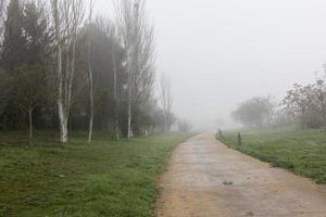 l calme paysage avec route dans brumeux gris hivers journée photo