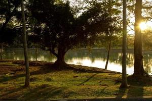 un lac dans un parc photo