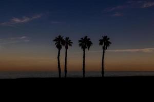 bord de mer paysage paix et silencieux le coucher du soleil et quatre paume des arbres sur le plage photo