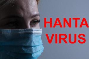 hantavirus mot nuage concept sur gris Contexte photo