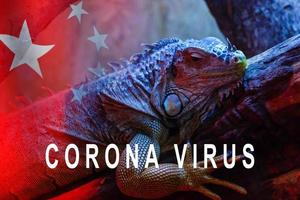 concept image caméléon - couronne virus. médical concept. photo