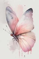 magnifique lumière rose papillon aquarelle photo