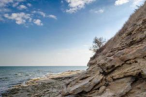 paysage marin rocheux avec arbre et pierres