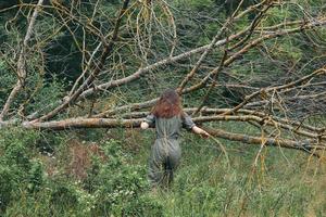 femme près cassé arbre dans vert salopette photo