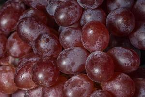 Macro gros plan de raisins avec des gouttes d'eau photo
