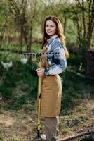 aux femmes mains proche en haut en mettant grain, avoine, et autre bon pour la nature biologique alimentation dans le oiseau chargeur. nettoyage le oiseau stylo à le ferme photo