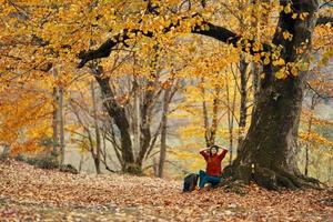 femme dans l'automne forêt séance en dessous de une arbre paysage Jaune feuilles modèle photo
