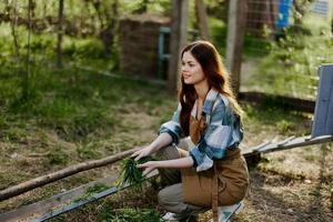 une Jeune femme alimente sa poulets sur le ferme avec herbe, portant une Facile plaid chemise, un pantalon et tablier, et souriant pour le caméra, soins pour le animaux photo