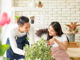 portrait les amoureux Beau Jeune homme jolie asiatique femme portant blanc T-shirt. et tablier plaisanterie ayant amusement Aidez-moi organiser plante et l'eau les plantes dans petit des pots dans le pièce arrangé les plantes avec l'amour Heureusement photo