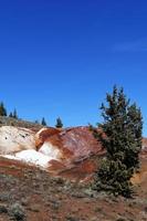 le peint collines dans wheeler comté, Oregon photo