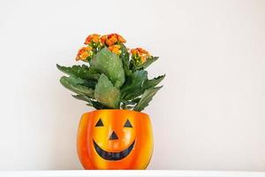 magnifique Orange mis en pot fleur dans une citrouille pot pour Halloween sur une lumière Contexte photo