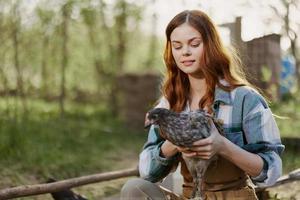 une femme avec une sourire prend se soucier de une en bonne santé poulet et détient une poulet dans sa mains tandis que travail sur une ferme dans la nature alimentation biologique nourriture à des oiseaux dans le soleil. photo